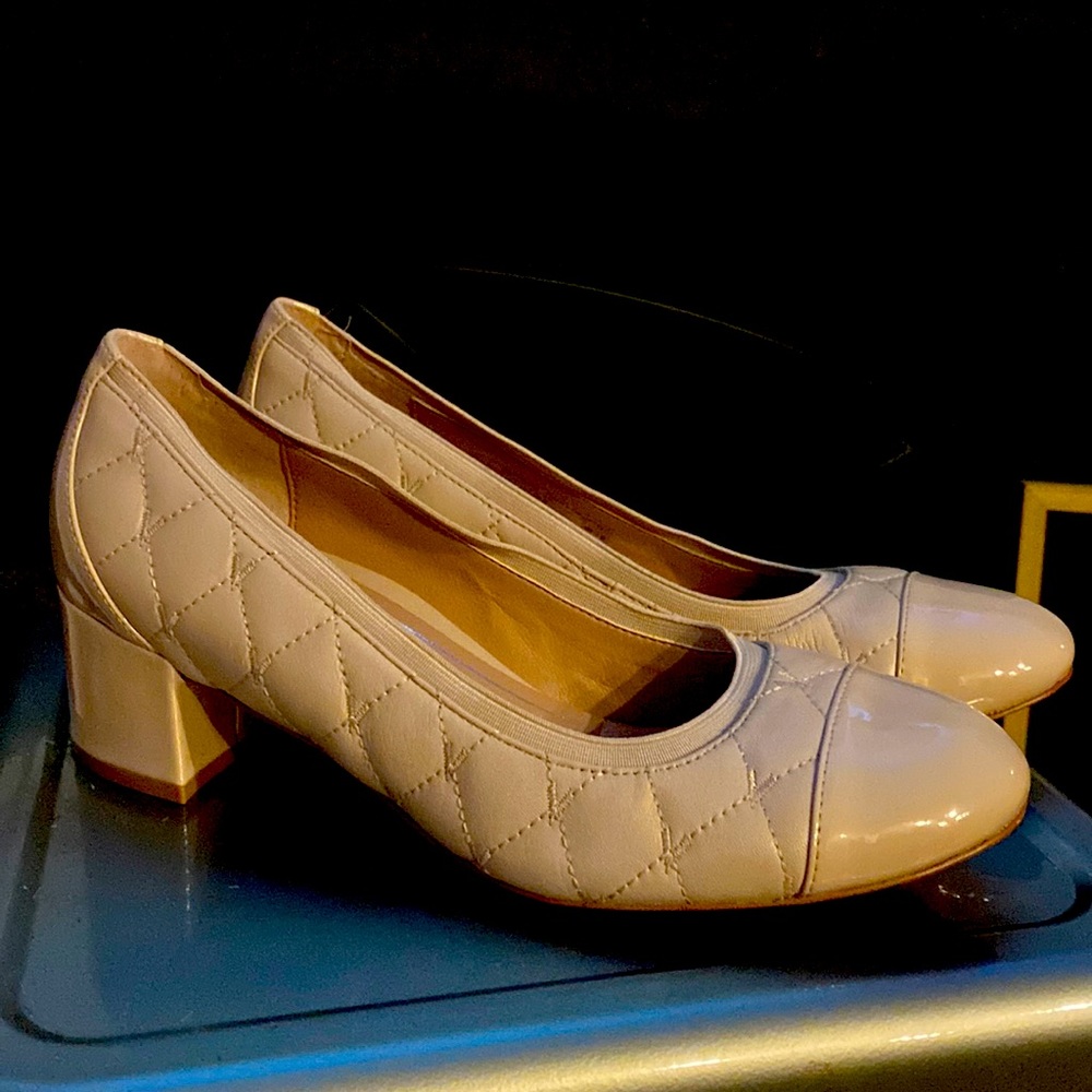EUC Vionic Pumps
